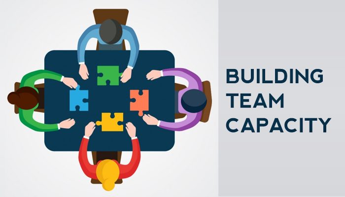 Capacity Building Strategy